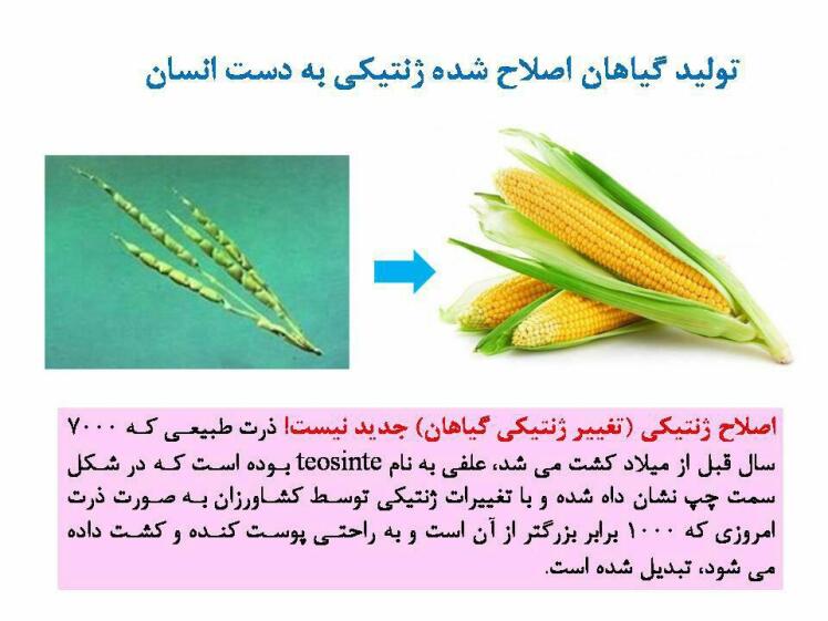 تراریخته به چه معناست؟